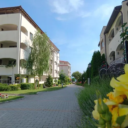 Royal Palm Studio, * Светий Влас