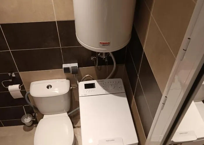 Royal Palm Studio, سفيتي فلاس