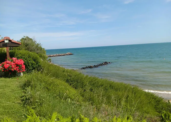 شقة Royal Palm Studio, *