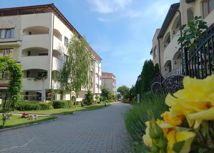 Royal Palm Studio, * سفيتي فلاس